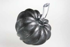 Pod