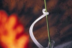 single-ste-vase